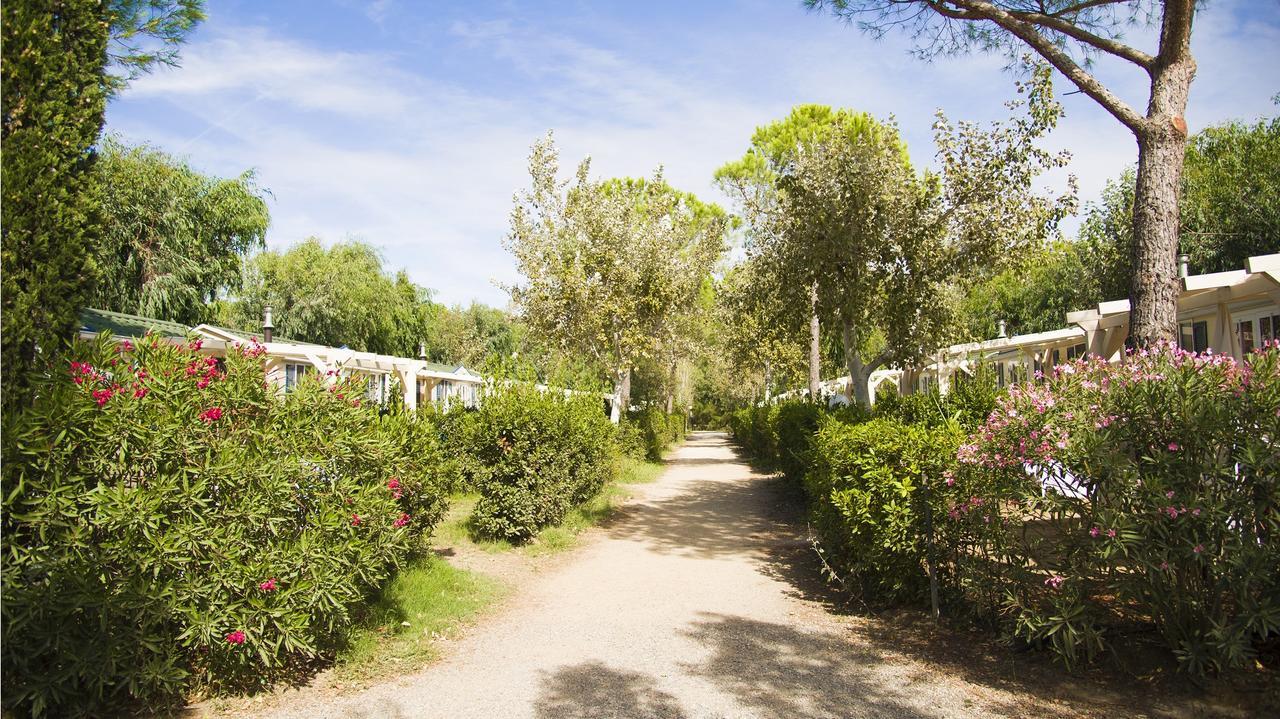 Hotel Helloocamp Marina Di Bibbona Exterior foto